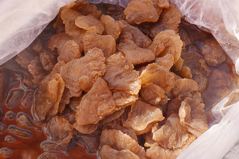 经典海鲜摄影图片,鲜活海鲜摄影技巧