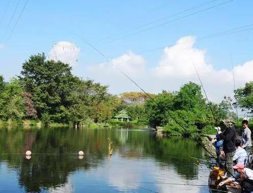 钓大鱼如何用饵料避开小杂鱼,饵料如何避开鲢鱼