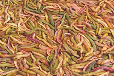 民间吃起来口感特别好传统美食,民间美味大全视频