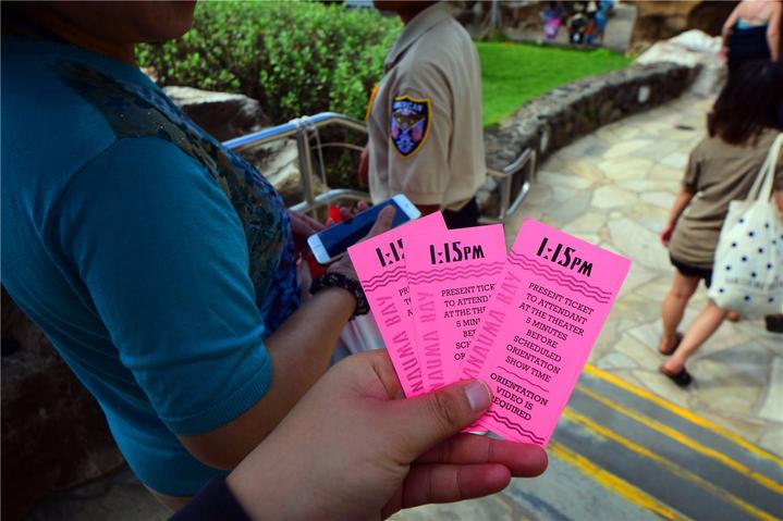 骨灰级探险视频,水上运动场夏威夷maui岛浮潜