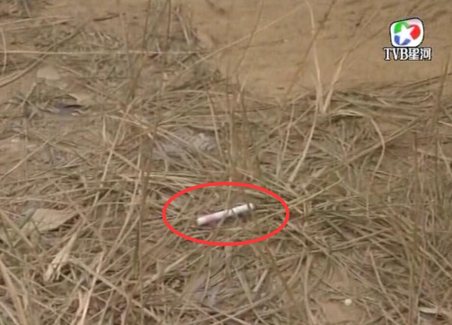 刑事侦缉档案红衣女郎杀人案,刑事侦缉档案红衣女郎男扮女装