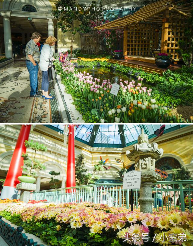 美国一周游玩攻略,美国旅游攻略拉斯维加斯