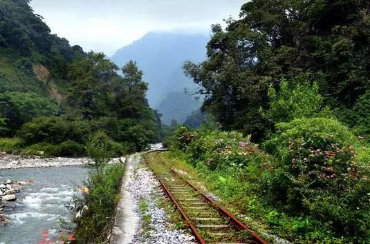 成都周边免费森林自然景点,成都森林避暑好去处