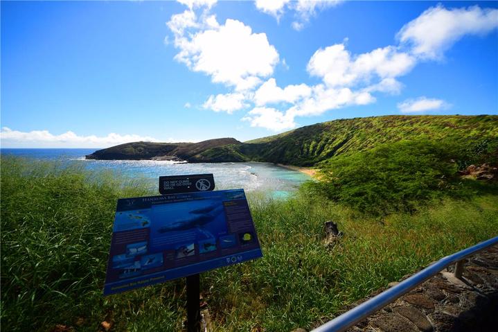 骨灰级探险视频,水上运动场夏威夷maui岛浮潜