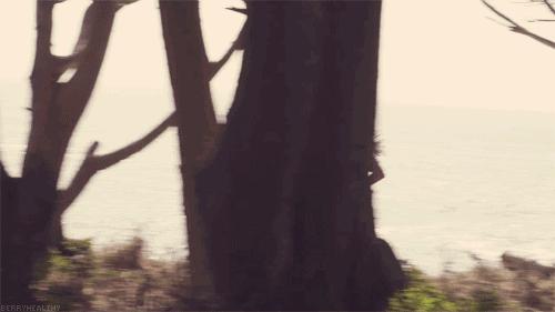 夜跑美丽江边夜景,夜跑沿途的夜景很美心情特别好