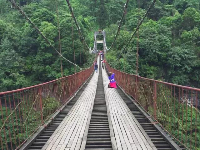 成都周边免费森林自然景点,成都森林避暑好去处