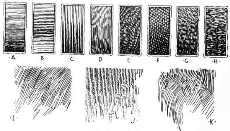 绘画基础教程新手入门,绘画基础教程人物小狗