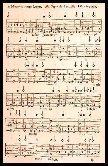 五线谱零基础学吉他,弹吉他应该看六线谱还是五线谱