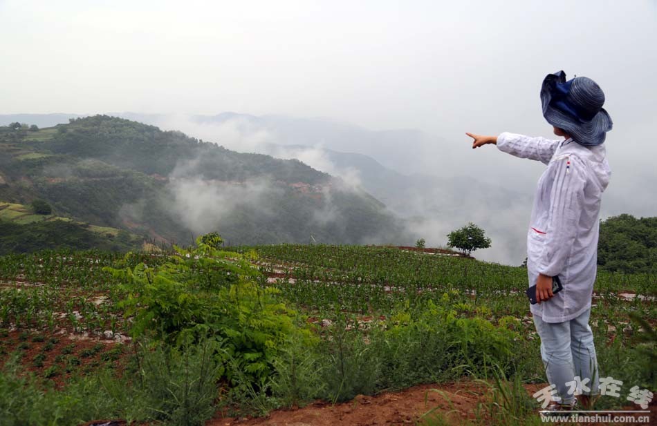 天水乡村田园风景图,天水农村自然美景