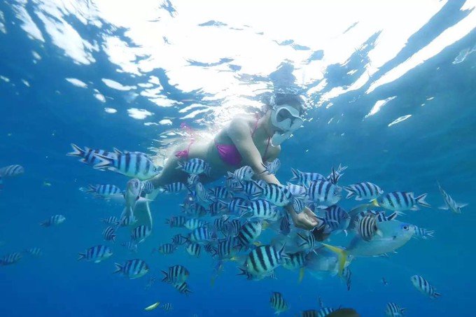 带着思念去旅行完整版,带着思念去海边