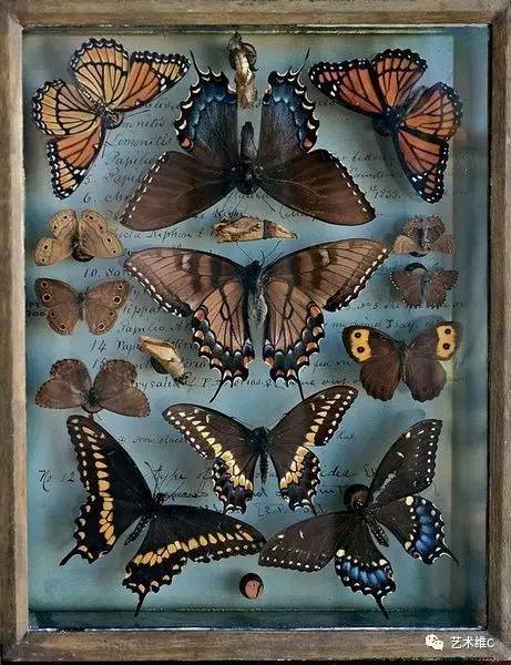 大英博物馆柜子,大英博物馆家具是什么