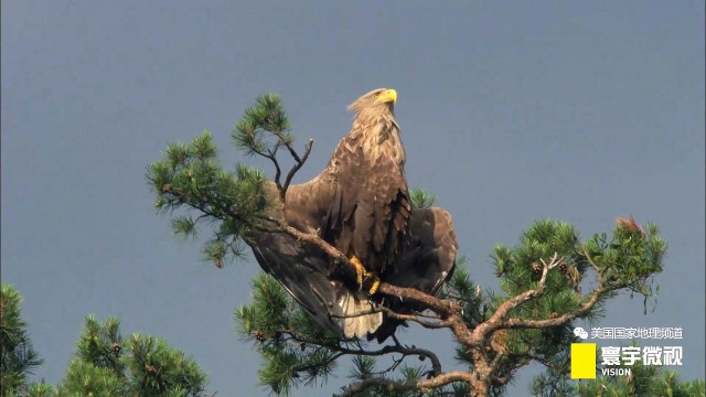 瀵板畤寰瑙ｆ瀽,瀵板畤寰