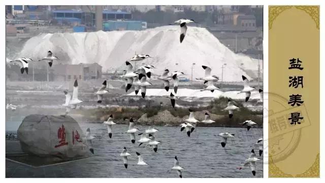 山西运城值得去的景点,山西运城十大景点