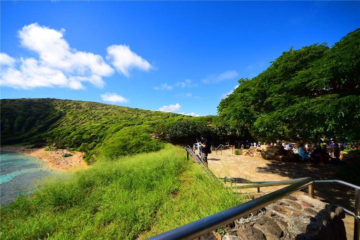 骨灰级探险视频,水上运动场夏威夷maui岛浮潜