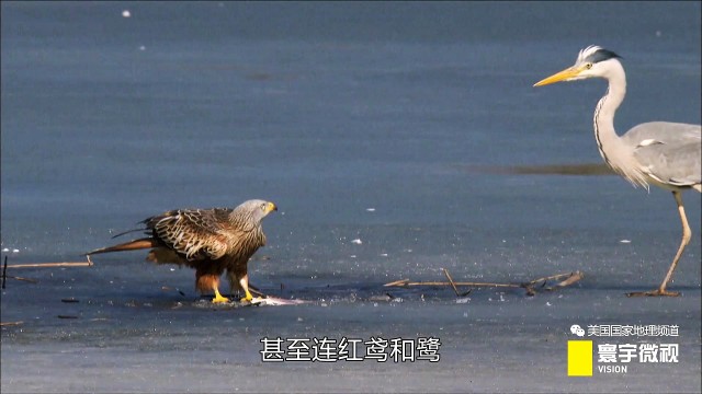 瀵板畤寰瑙ｆ瀽,瀵板畤寰