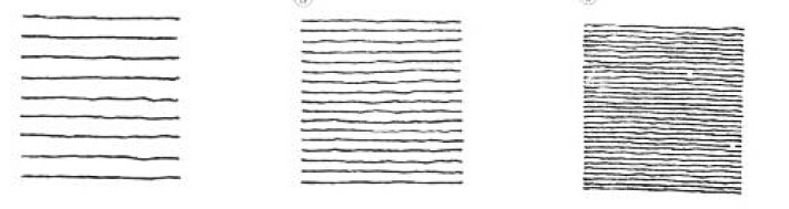 绘画基础教程新手入门,绘画基础教程人物小狗