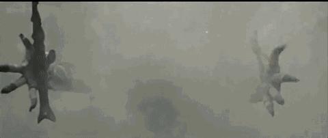 新木乃伊电影被差评原因,新木乃伊4上映了吗