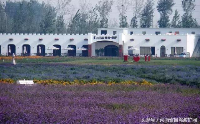 郑州普兰斯薰衣草庄园开门了吗,普兰斯薰衣草庄园能去吗