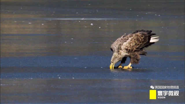 瀵板畤寰瑙ｆ瀽,瀵板畤寰