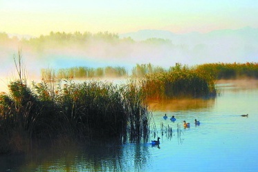 京城10个湿地公园：城区郊区、东西南北都有，总有一个适合您！