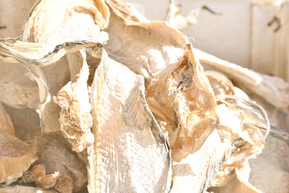 经典海鲜摄影图片,鲜活海鲜摄影技巧