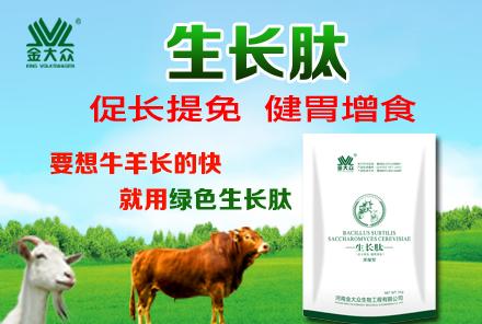 羊腹泻寄生虫怎么治疗,羊虫病的最佳治疗方法