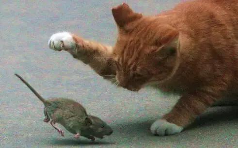 职场表情包朋友圈,职场表情包套装