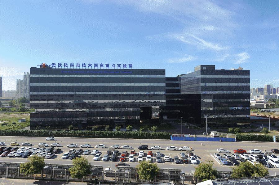 世界环境日倡导绿色低碳生活,世界环境日绿色环保创意