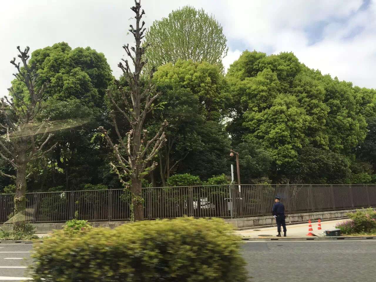你和去日本旅行只差一张机票是一个国家更像是一个星球