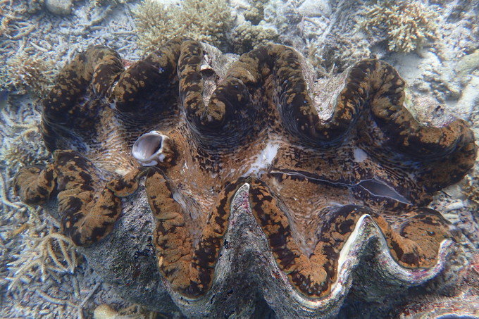 带着思念去旅行完整版,带着思念去海边