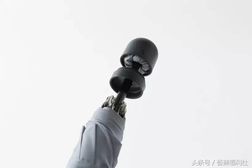 连雨伞都如此有身段,下雨天不带它们出门都说不过去!