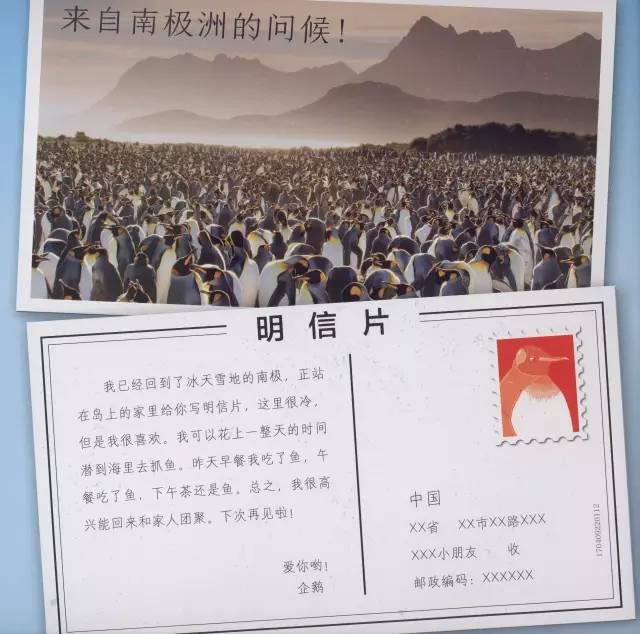 有趣又涨知识的冷科普绘本,儿童必看的自然科普绘本