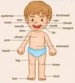 孝感土话大全完整版,孝感话视频