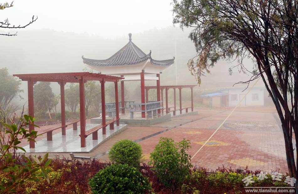 天水乡村田园风景图,天水农村自然美景