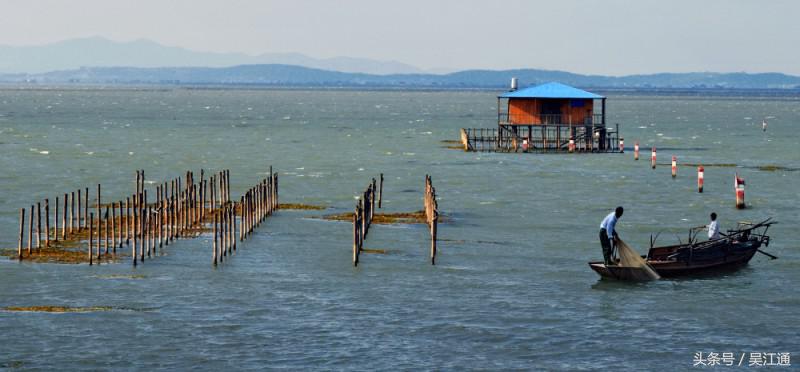愁屋,愁屋是什么意思