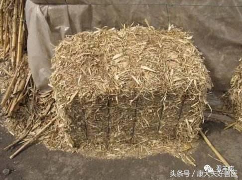 防止羊吃发霉的草料用什么药,羊饲料发霉喂了有什么症状