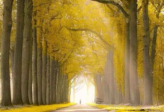 英文小诗100首系列一我有故事你有酒吗?