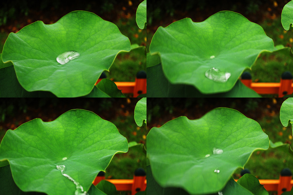 深圳壹捷sonax镀晶，超疏水荷叶自洁，找到你的爱”漆”方式