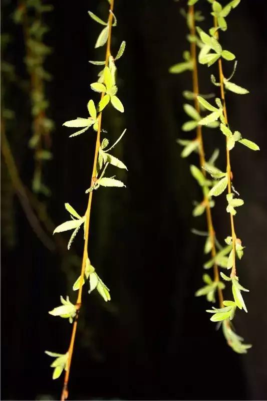 中国航天五零四所介绍,中国航天五零四研究所