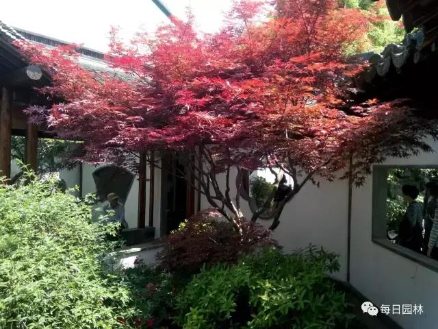 杭州西湖古典园林郭庄,杭州郭庄古风景区