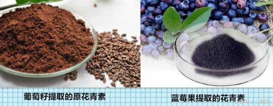 吃葡萄籽真的能美白抗衰老吗,吃葡萄籽到底能不能美白