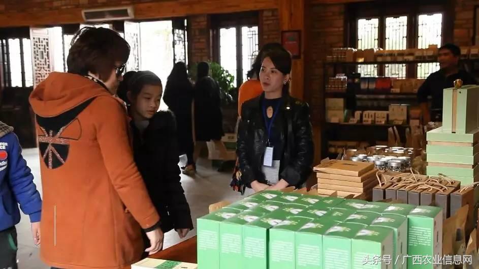 广西苏式园林,合浦周边园林