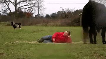 网吧有人问我点的什么歌,网吧点一首歌整个网吧都在找我