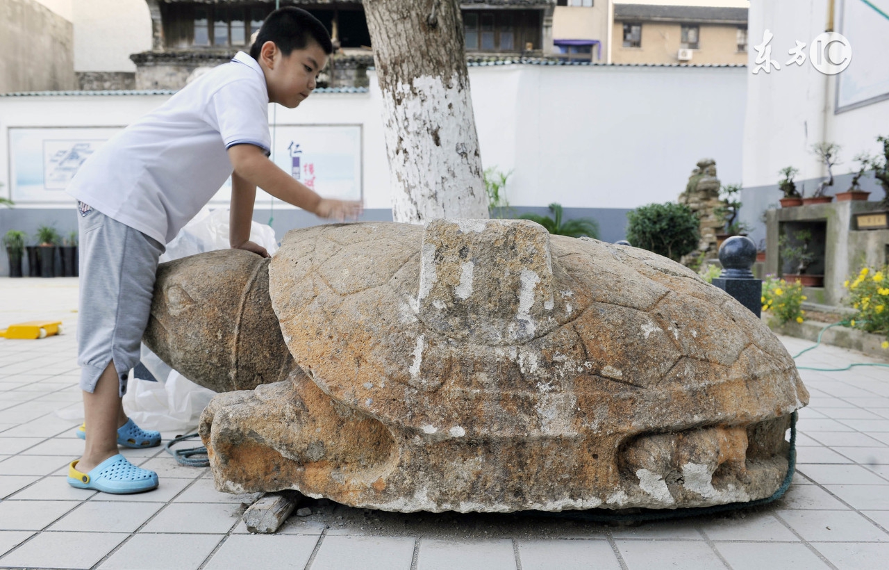 什么龟吃了能治癌症,吃了百年的乌龟会怎么样