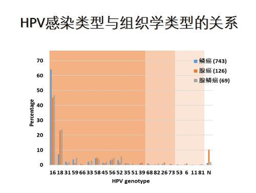hpv分型检测查出宫颈癌的几率高吗,宫颈癌hpv最常见的两种分型
