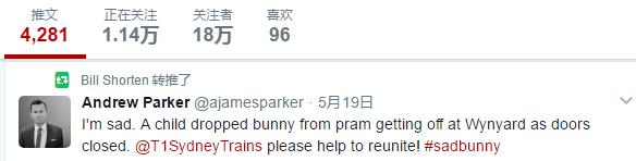 上万悉尼网友各显神通，只为找到这只玩偶兔的主人……