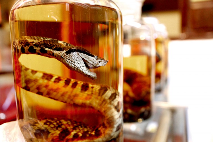 迷路南屏跟宝骏轮动古韵皖南