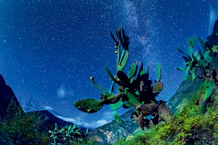 丙察察风景摄影,丙察察摄影