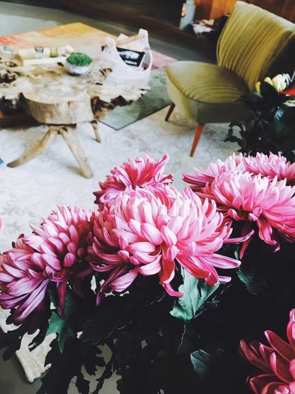 家居小技巧教你,六个家居技巧让生活焕然一新