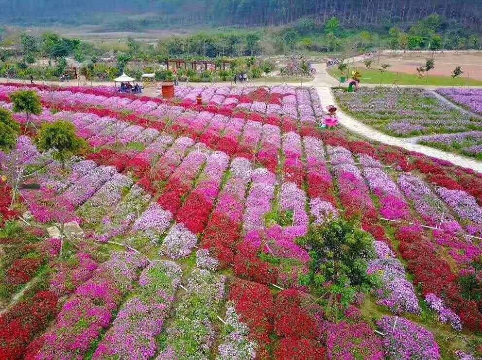 南宁小长假推荐去哪里旅游,南宁周末去哪里旅游最好